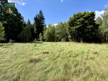Działka siedliskowa Stołbce