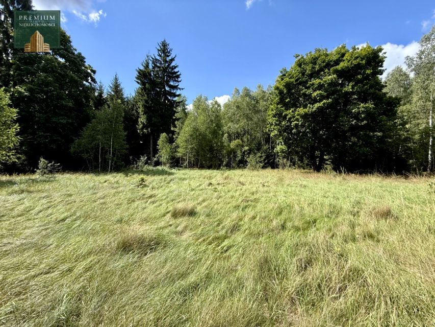 Działka siedliskowa Stołbce