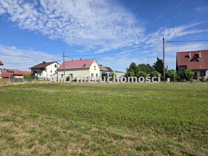 Zdjęcie 3