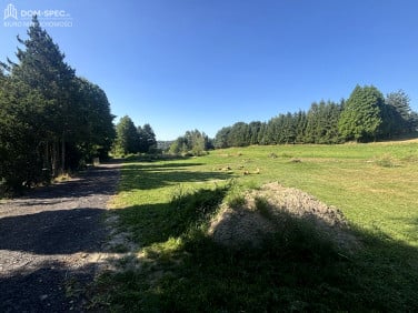 Działka budowlana sprzedam