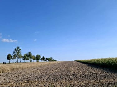 Działka rolna Longinówka