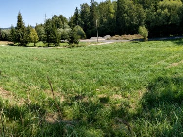 Działka budowlana Kurów