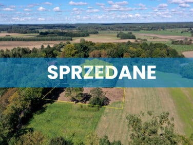 Działka Rzęśnica