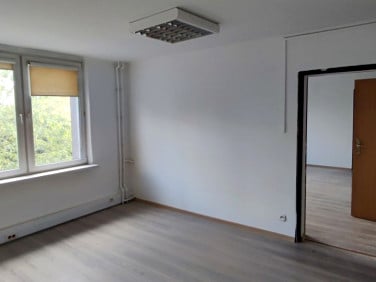 Lokal Kraków