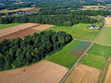 Działka budowlana Pisarzowice