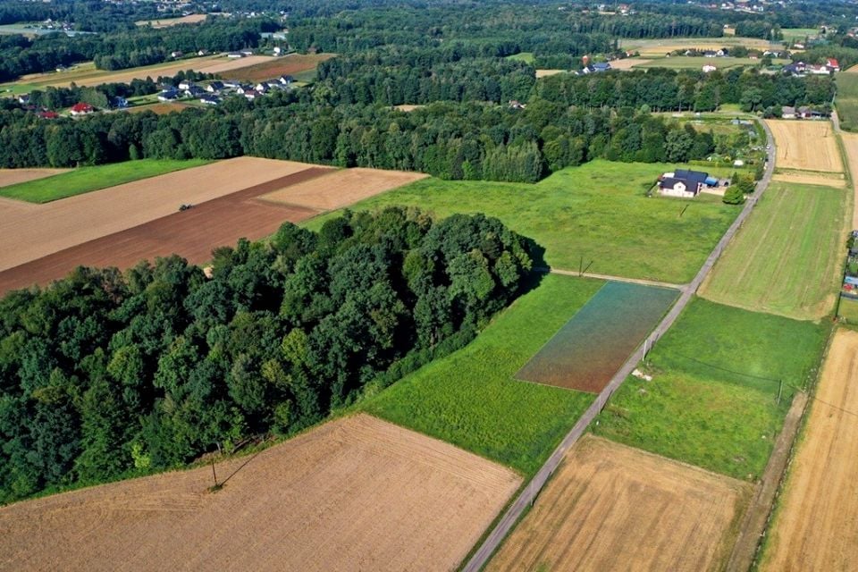 Działka budowlana Pisarzowice