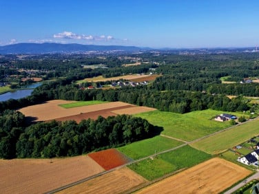 Działka budowlana Pisarzowice