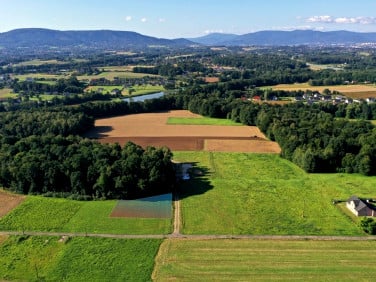 Działka budowlana Pisarzowice