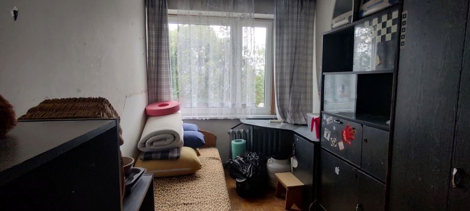 Zdjęcie 3