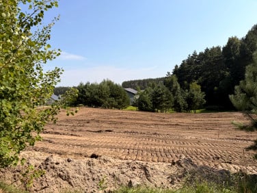 Działka Gołubie