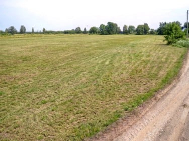Działka budowlana Ruda