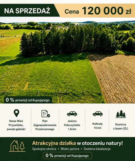 Zalesiona działka Przywidz