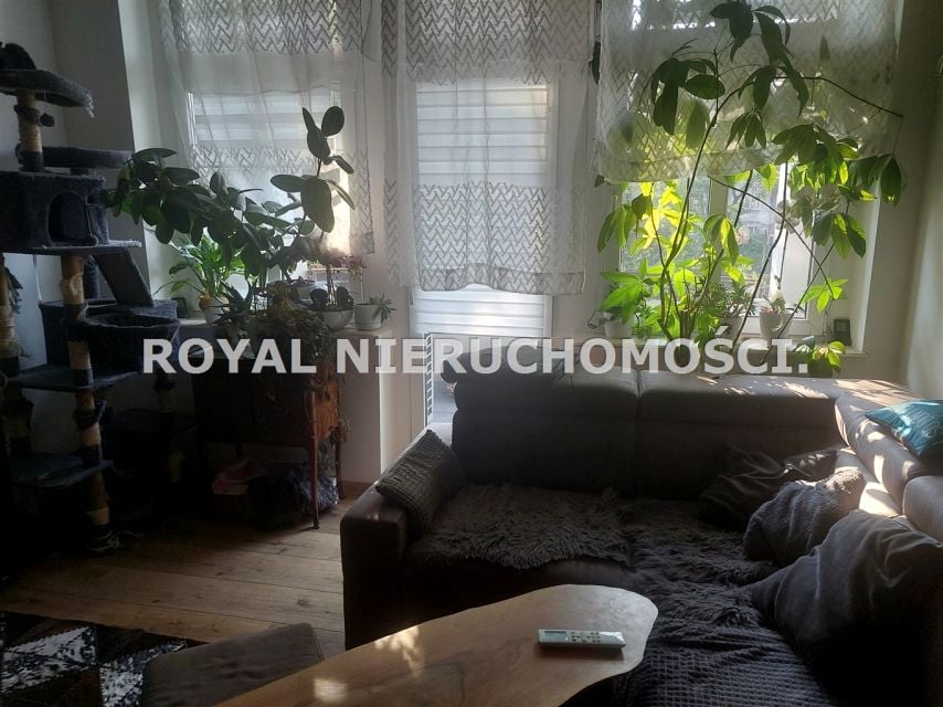 Zdjęcie 3