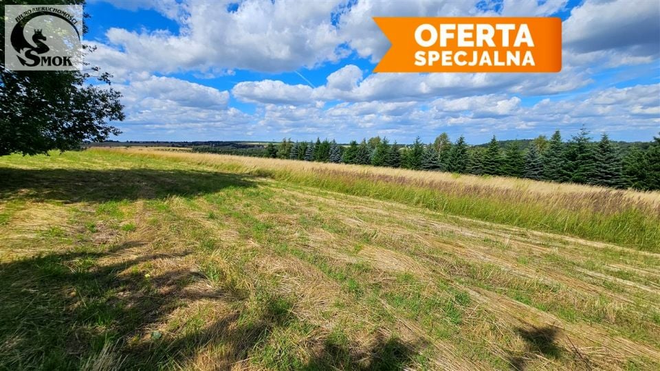 Działka rekreacyjna Sąspów