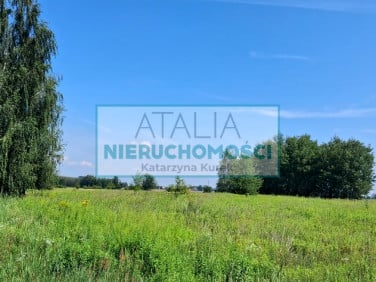 Działka rolna Kotowice