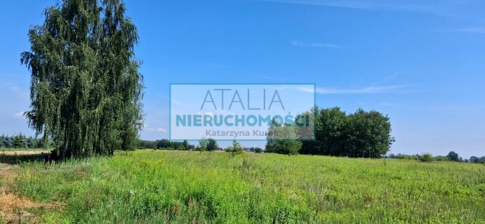 Działka rolna Kotowice