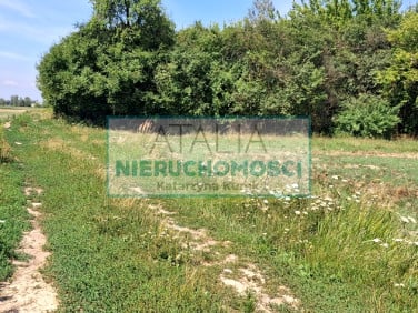 Działka Kotowice