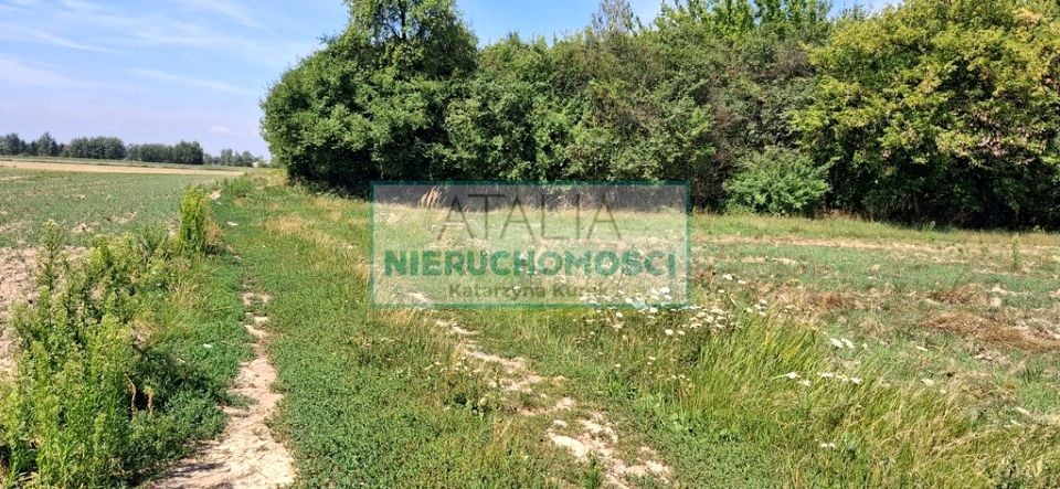 Działka Kotowice