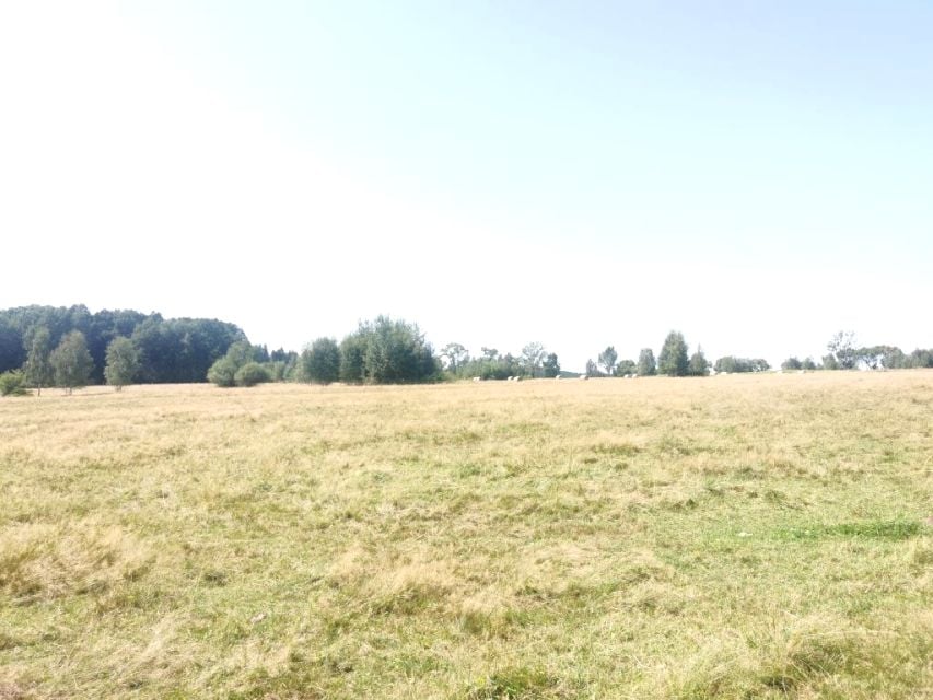 Działka rolna Złoty Potok