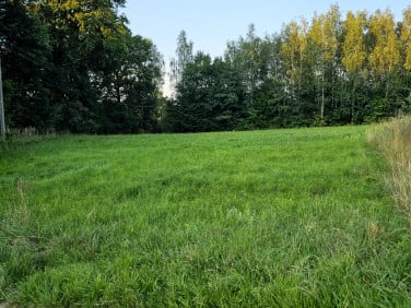 Działka Skawina