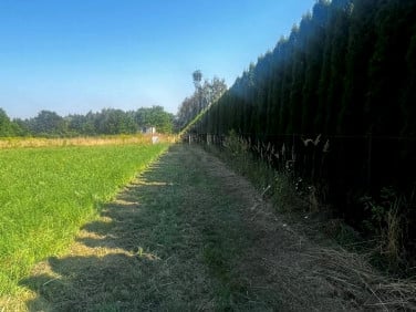 Działka budowlana Borek Szlachecki