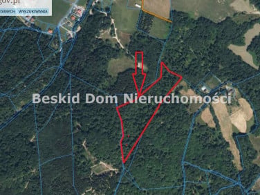 Działka leśna Brenna