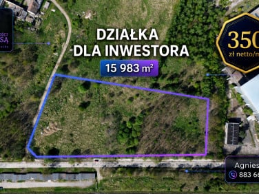 Działka budowlana Zgorzelec