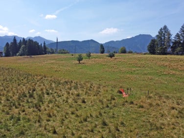 Działka rolna Zakopane