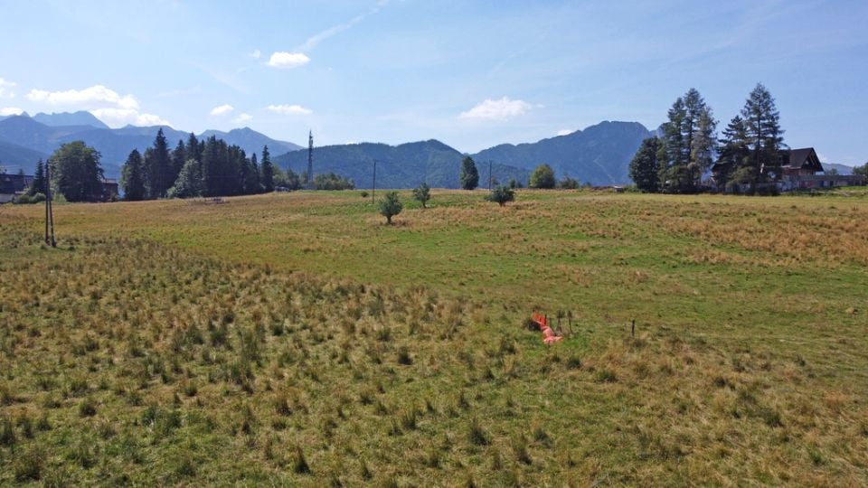 Działka rolna Zakopane