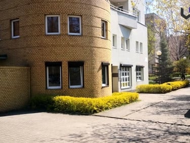Lokal Katowice