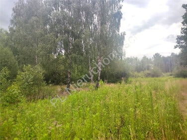 Działka leśna Budy Michałowskie