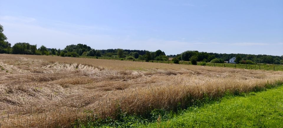 Działka rolna Kukały sprzedam