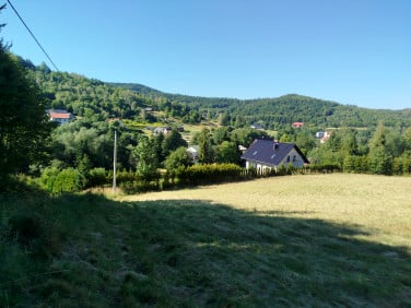 Działka Jaszczurowa