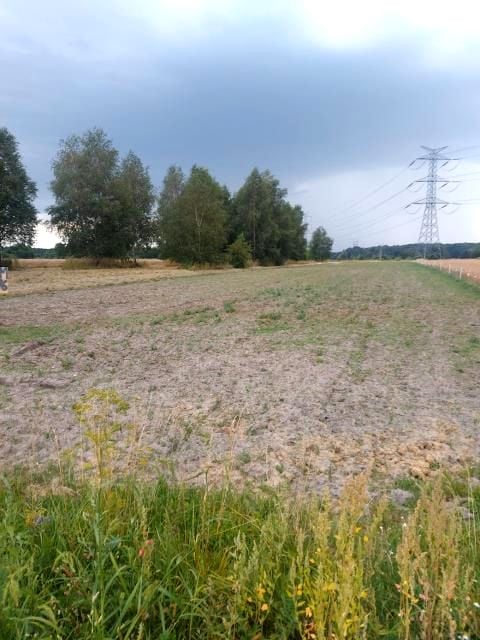 Działka budowlano-rolna Warężyn