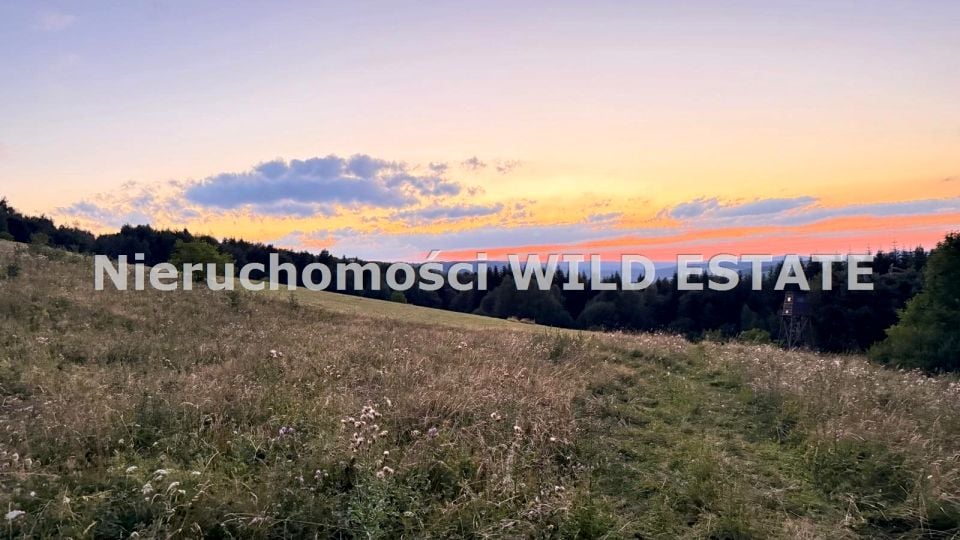 Działka rolna Jureczkowa
