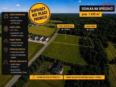 Działka leśna Krzyżówki