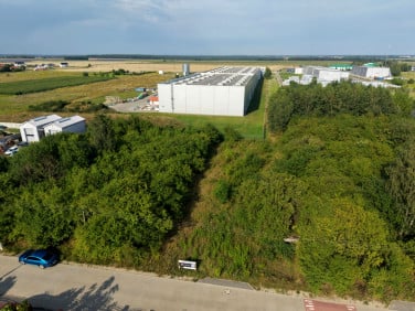 Działka inna Rokietnica