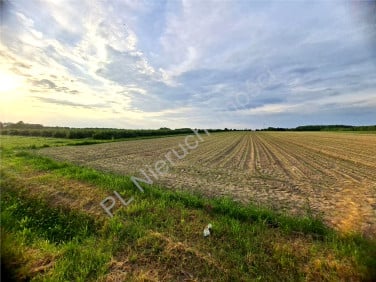 Działka przemysłowa sprzedam