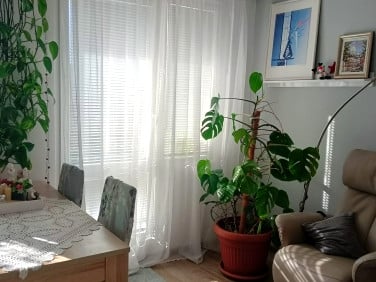 Mieszkanie Jelenia Góra sprzedaż