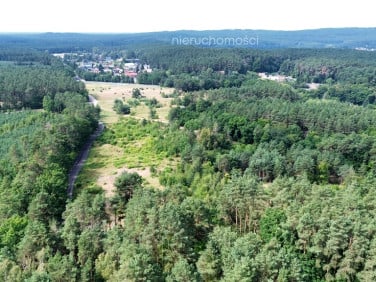 Działka przy lesie