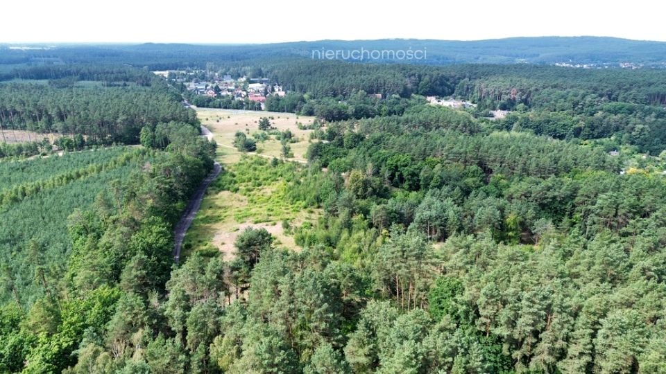 Działka przy lesie