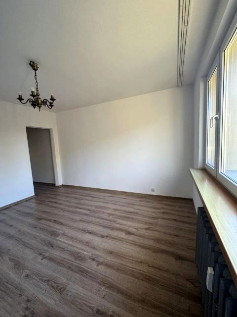 Zdjęcie 3