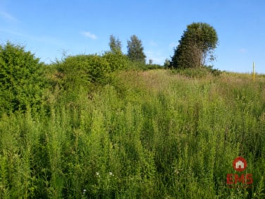 Działka Mława