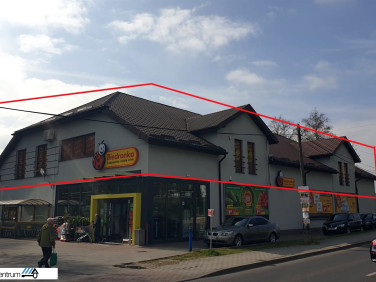 Lokal Pilica