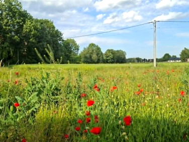 Działka budowlana Marszowice