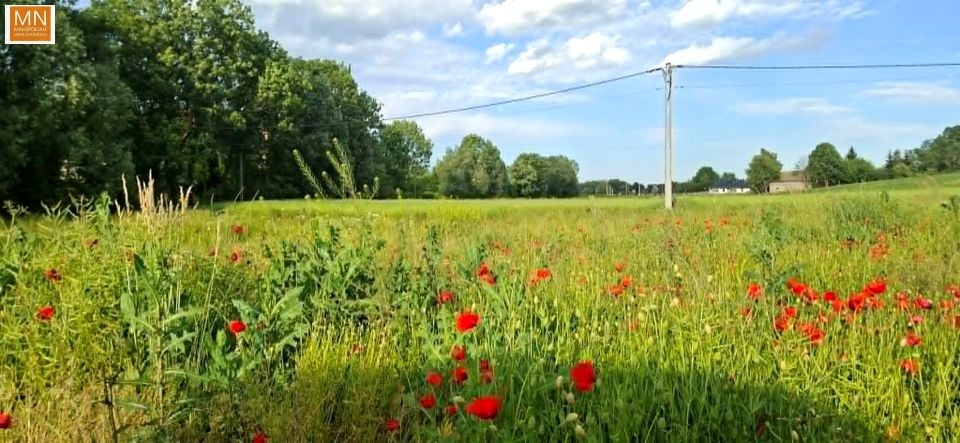 Działka budowlana Marszowice