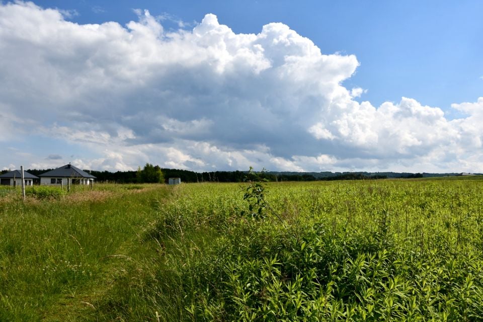 Działka inwestycyjna Krasne