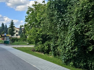 Działka budowlana Dąbrowa