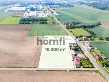 Działka Pniów