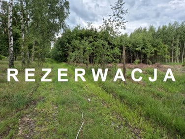 Działka WAPNICA